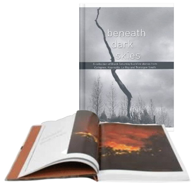 Beneath dark skies book by author Melina Schamroth.